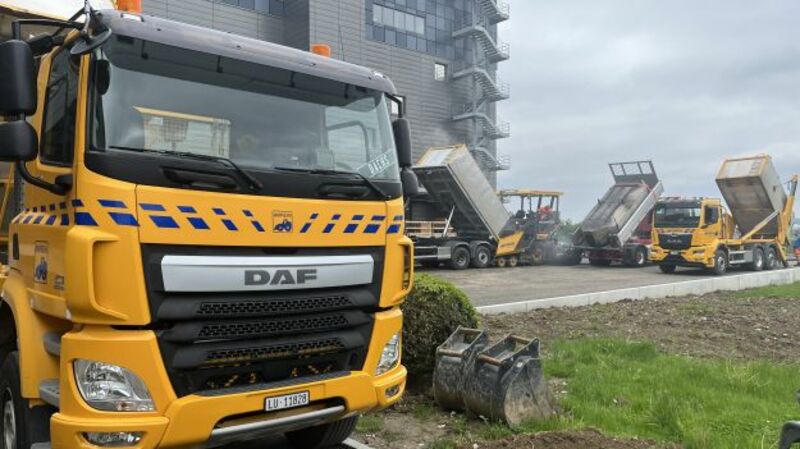Schenkon Umgebungsarbeiten Lehner Versand - 3
