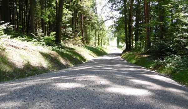 Waldstrasse Hohenrain