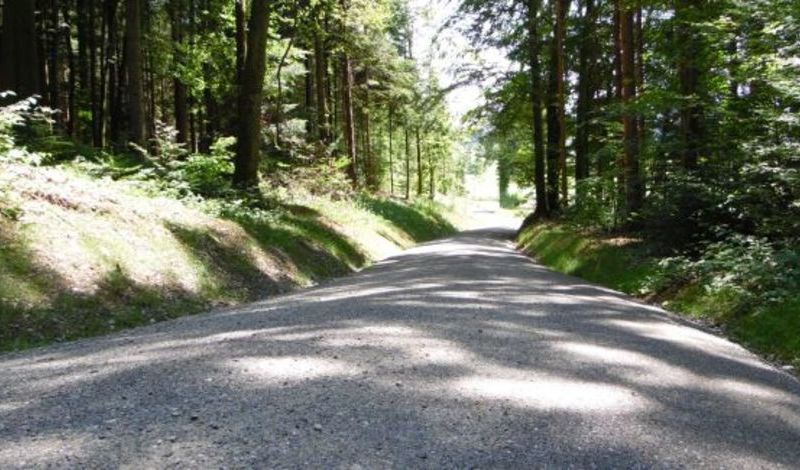 Waldstrasse Hohenrain - 1