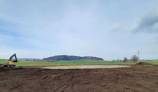 Flutmulden als Leichgebiet für Kreuzkröten