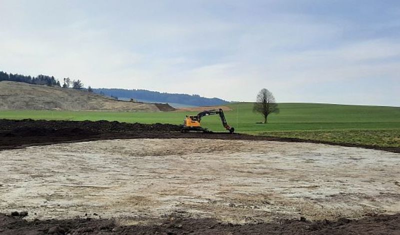 Flutmulden als Leichgebiet für Kreuzkröten - 3